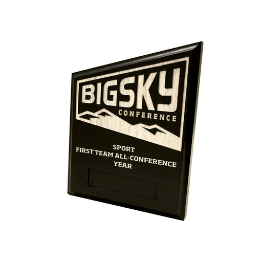 [BLD00081] CONF-BGS BGS-13 All-Conference Team